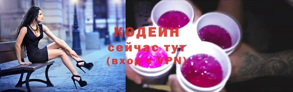 ешки Гусев