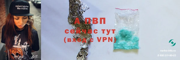 винт Гусиноозёрск