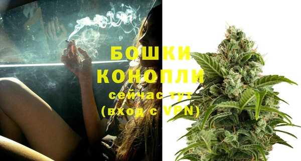 ешки Гусев