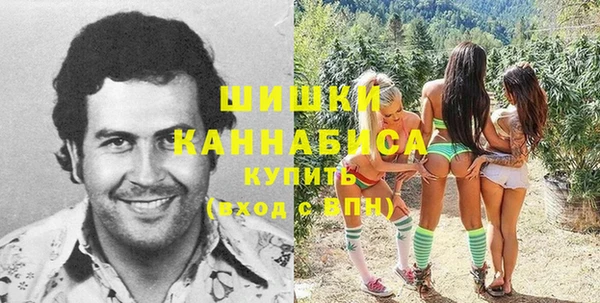 a pvp Гусь-Хрустальный