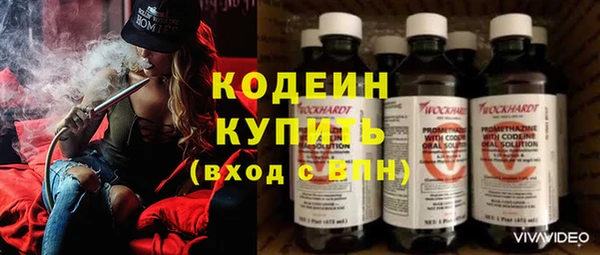 ешки Гусев
