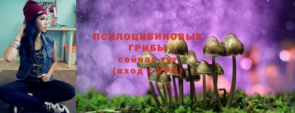 винт Гусиноозёрск