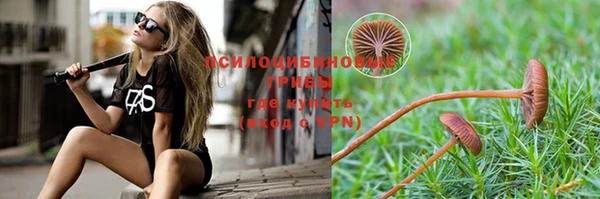 винт Гусиноозёрск