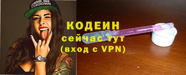 ешки Гусев