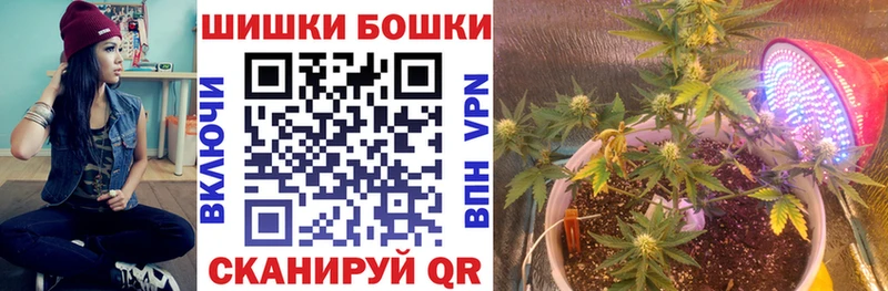 Купить  Канаш  Бошки марихуана Amnesia 
